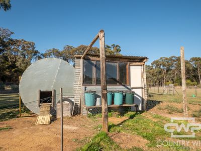 5368 Strathbogie Road, Emmaville