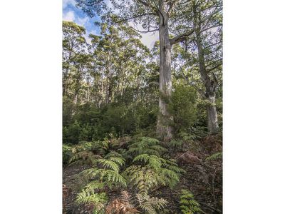 Lot 1 Jager Road, Southport