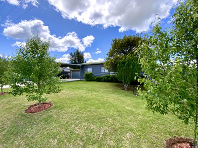 61 Patterson Street, Forbes