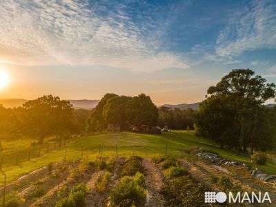 177 Mullumbimby Road, Myocum