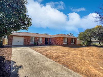 13 Kensington Avenue, Dubbo