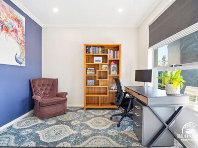 53 Ribbonwood Crescent, Marsden Park