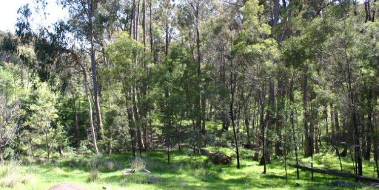 Harrys Creek Road, Strathbogie