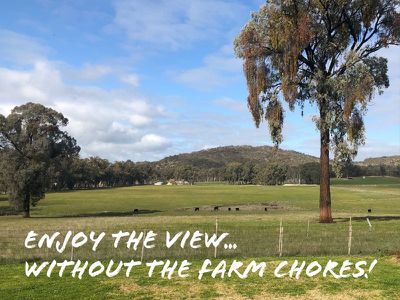 73 Parish Lane, Killawarra