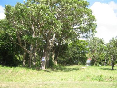 55 Charlotte Street, Cooktown