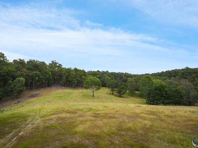 81 Dignams Creek Road, Dignams Creek