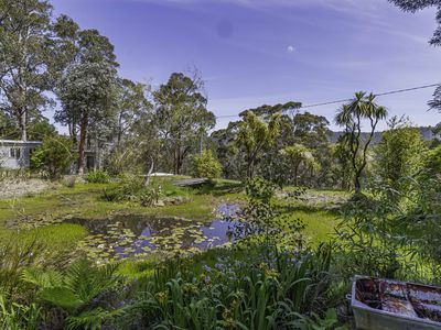 242 Woolleys Road, Lonnavale