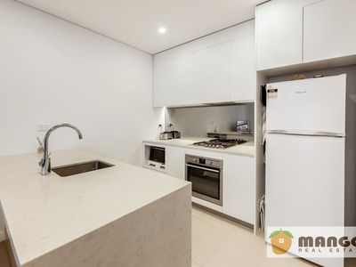 205D / 6 Nancarrow Ave, Ryde