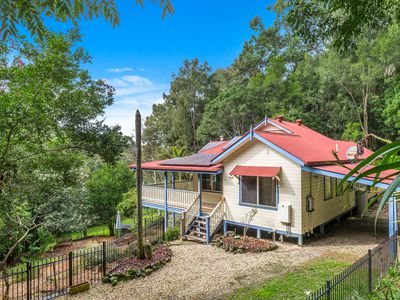 91 Brushbox Drive, Mullumbimby