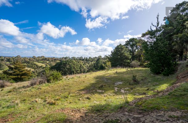 55 Kinnear Road, Mickleham