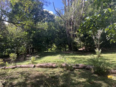 1855 Nimbin Road, Coffee Camp