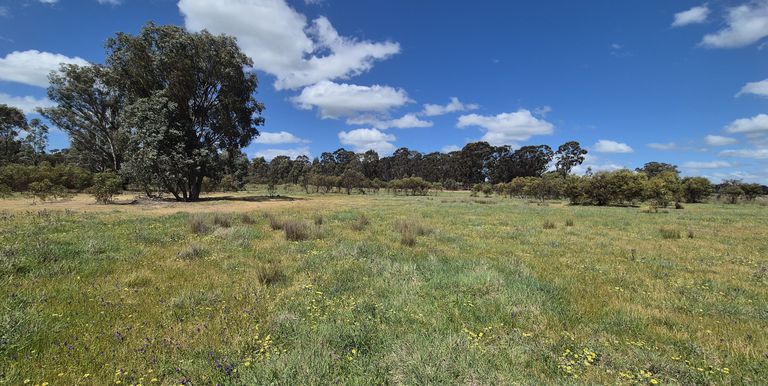 Lot 2 Gellibrand Tonks Road , Earlston