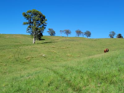 552 Neringla Road, Neringla