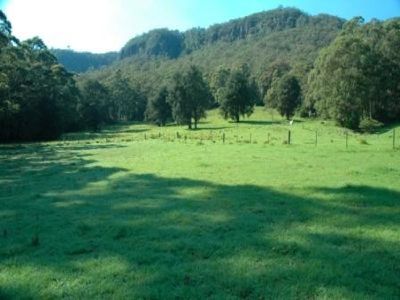 Lot 5 DP 856629, 1175 Bugong Road, Kangaroo Valley