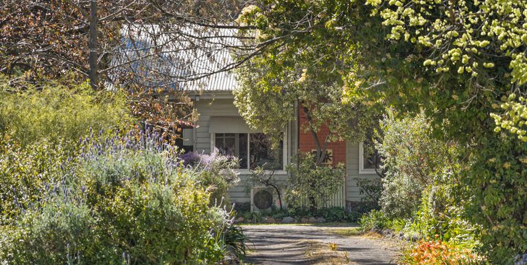 3A Pink Street, Violet Town