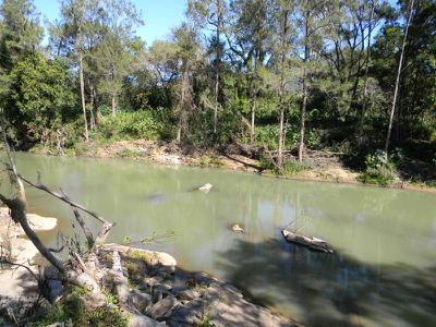 Maleny