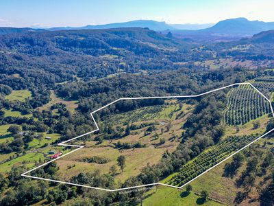 1740  Nimbin Road, Koonorigan
