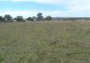 Lot 107 Queen Street, Molong