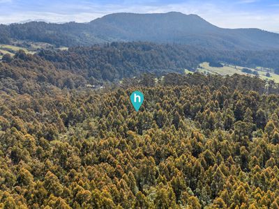 Lot 1, Huon Highway, Glendevie