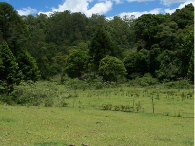 Maleny