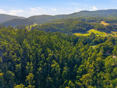 111 Underwoods Road, Nicholls Rivulet