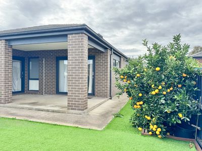 12 Strawberry Road, Wyndham Vale