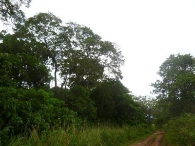 1 Endeavour Valley Road, Cooktown