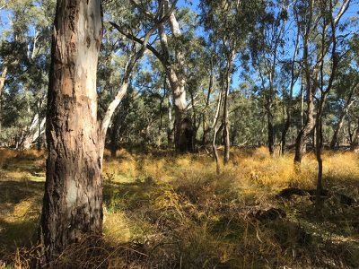 2 / Murray Road, Murrabit