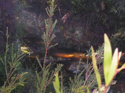 Lot 1 Arve Road, Geeveston