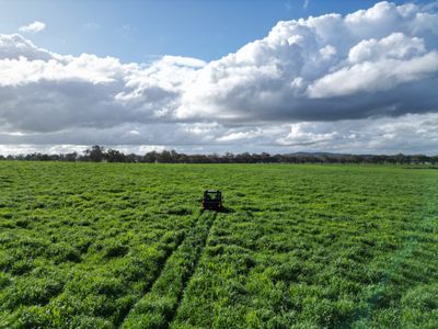 'Willowbank' Urana Road, Jindera