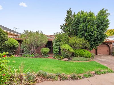 1077 Lower North East Road, Highbury