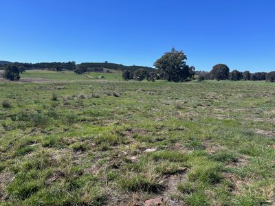 . Lake Endeavour Road, Parkes