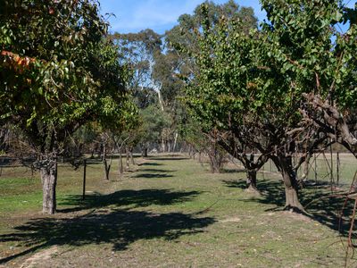 97 McCarthy Drive, Heathcote