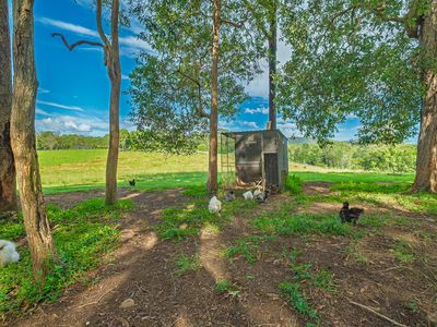 40 McGinn Road, Gheerulla