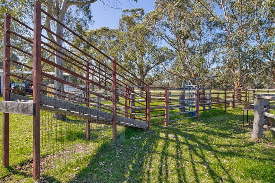 310 Young Road , Baldivis