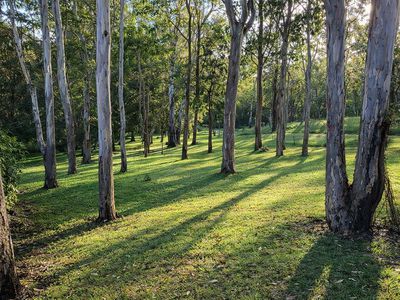 226 Rolley Road, Wondecla