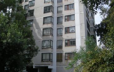 1B / 12 Bligh Pl, Randwick