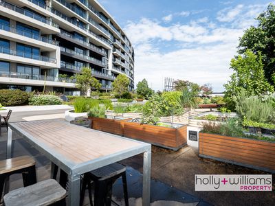 803 / 770C Toorak Road, Glen Iris