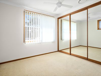 11 Massey Street, Berkeley
