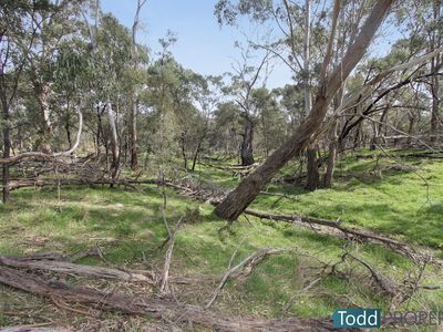 330 Paddys Dam Road, Tooborac