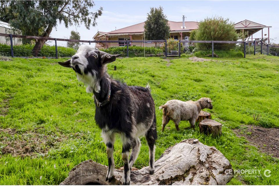 178 Kersbrook Forest Road, Kersbrook