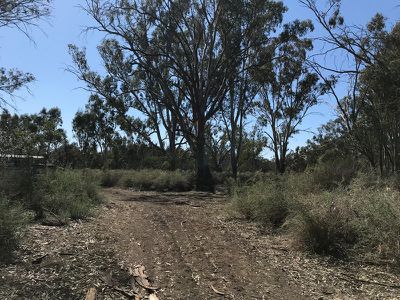 Lot 15 Edward River Road, Moulamein