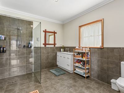 217 ROCKY CAMP RANGE ROAD, ROCKY CAMP, Millicent