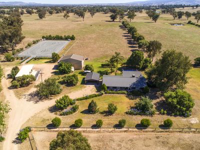 167 Tynan Road, Table Top