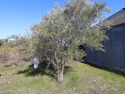 LOT 5  LOT 5  Tait Hamilton Road, Cornella