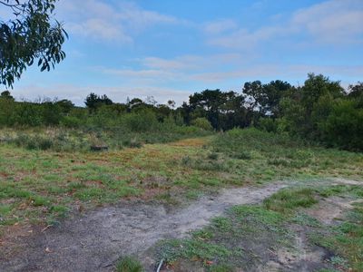 784 Pistol Club Road, Rocky Camp