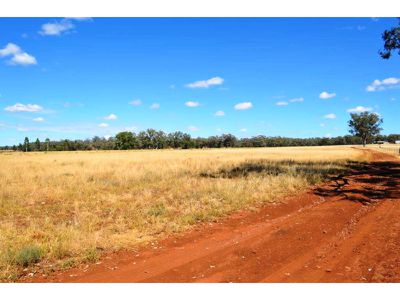 1172 Wandobah Road, Gunnedah