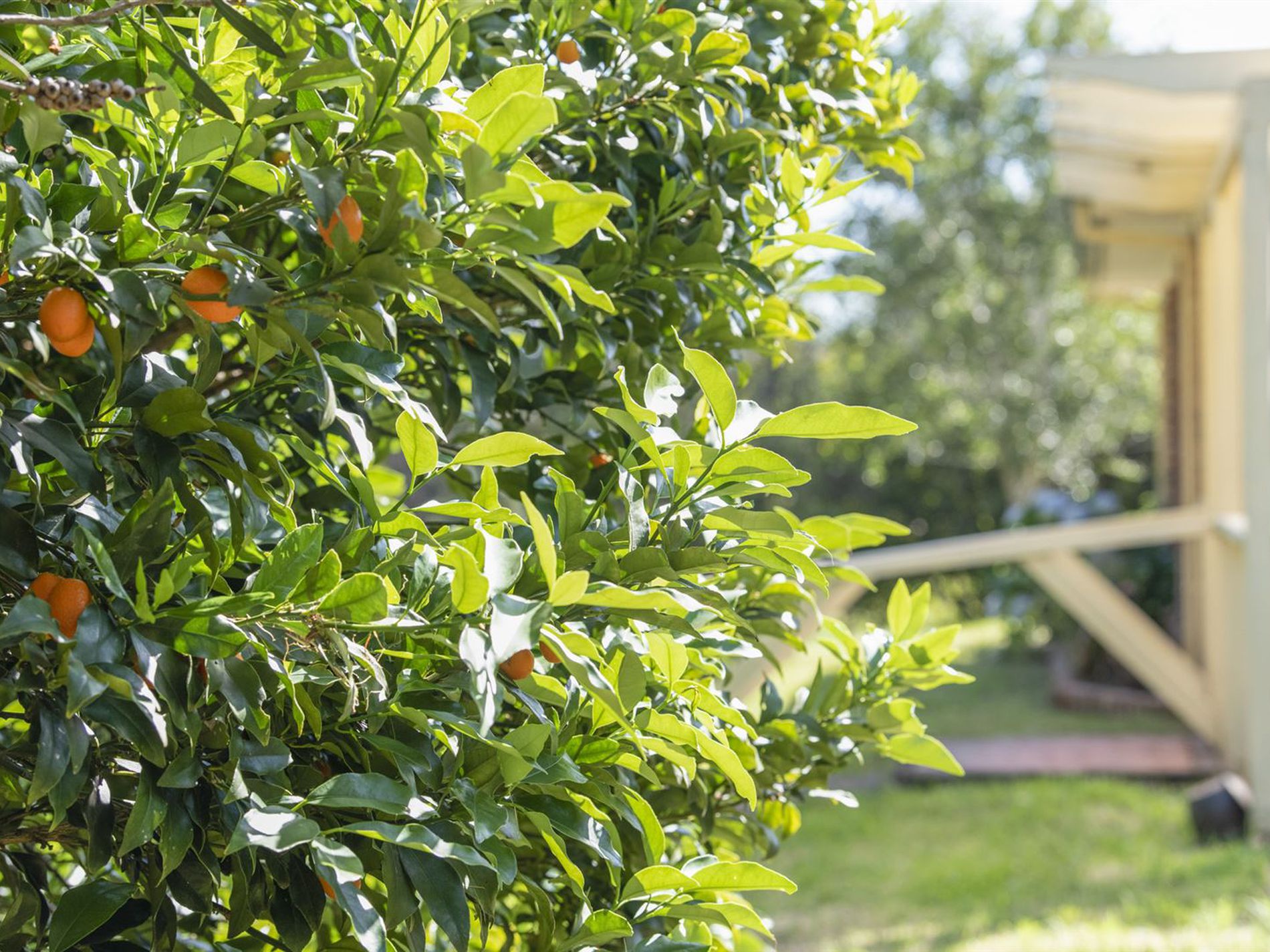 45 Little Forest Road, Little Forest