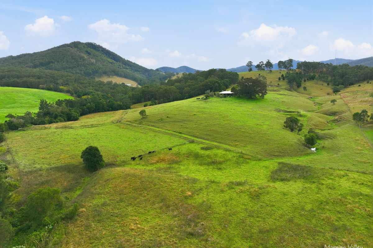 1577A Nowendoc Road, Mount George