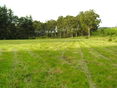 Reids Road, Cradoc